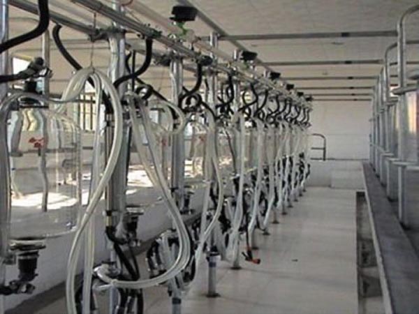 计量瓶中置式挤奶系统