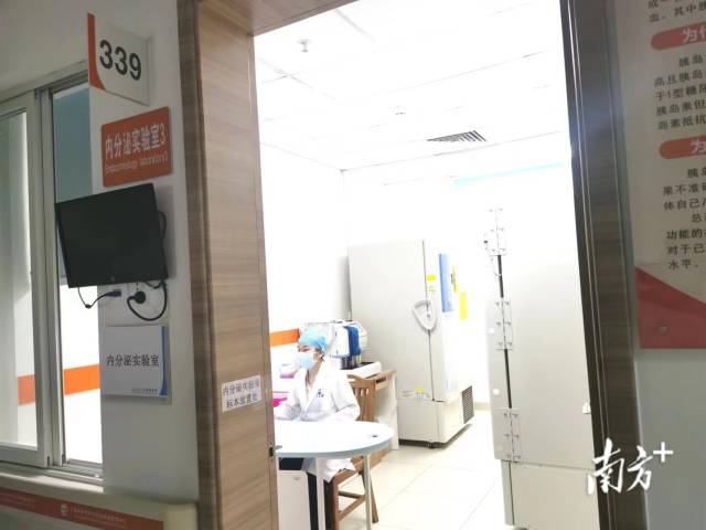 南方医科大学顺德医院国家标准化代谢性疾病管理中心内设有内分泌实验室。 南方+ 欧阳少伟 摄