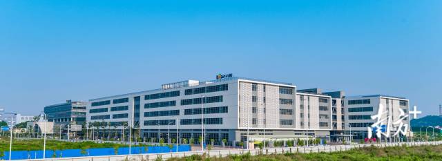 小熊电器总部。资料图片