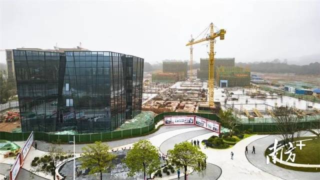 佛山云东海生物医药产业园科创中心建设现场。赖基润 摄