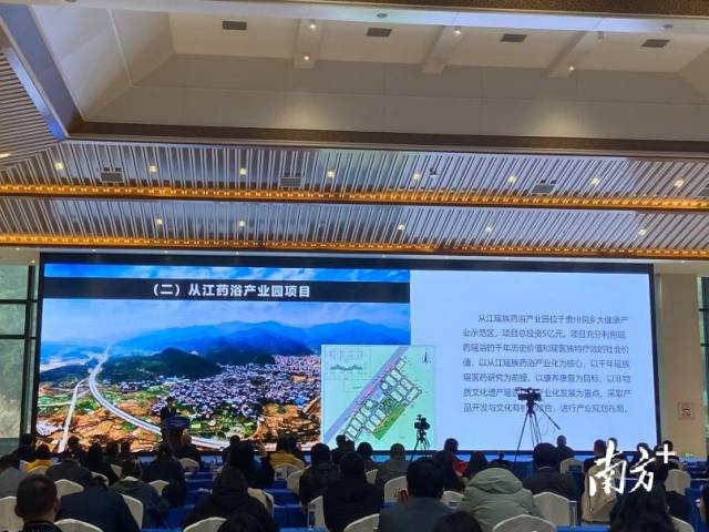 推介活动现场。 陈梦 摄