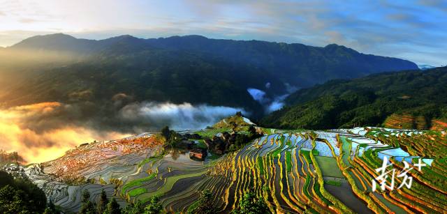 从江加榜梯田景观。南海区委宣传部 供图&nbsp;