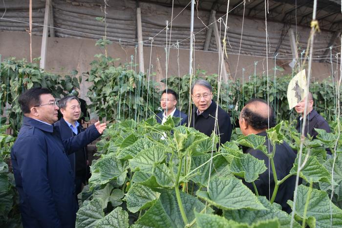 302356637d3ef2be32db78b7bdaa270