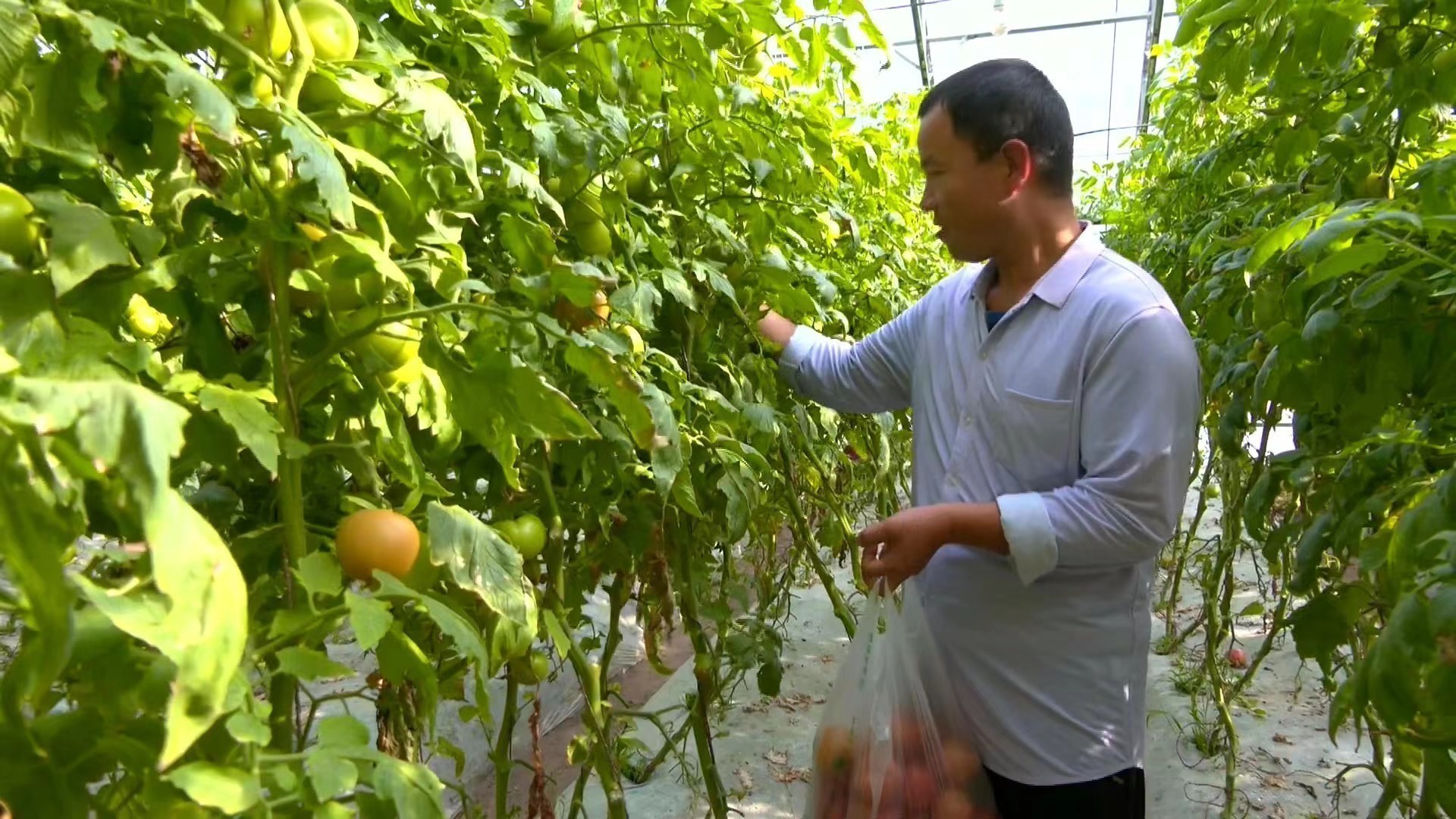 b895bb957acd7399a311cc05b12ce30.jpg?x-oss-process=style/w10