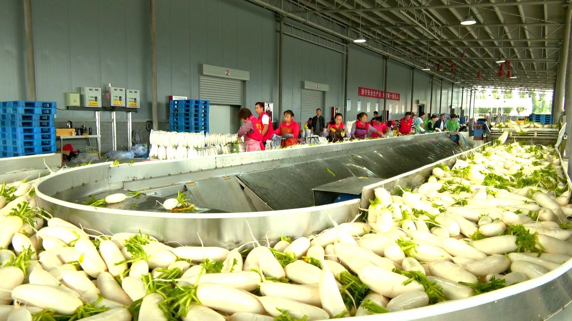 2ffac4a0b91e4a3922b3ee6f1b2c191.jpg?x-oss-process=style/w10