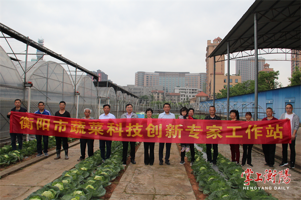 衡阳市蔬菜科技创新专家工作站.png
