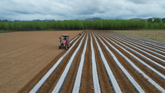 机械正在作业（航拍镜头）。 赵端摄