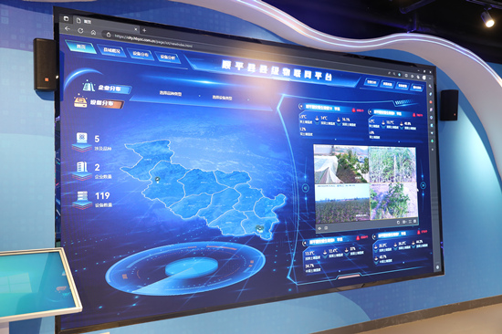 智慧农业监测情况。 张甜甜摄