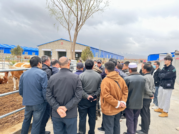 “科技支撑乡村振兴公益行动——中国农学会送农业科技进海原”肉牛产业培训成功举办3.png