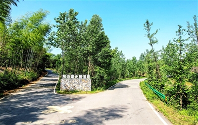 res01_attpic_brief (2).jpg