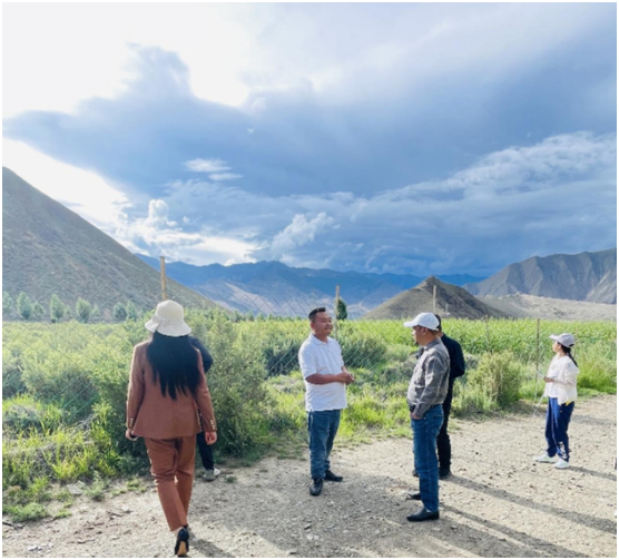 529625f14beea4bca44b01898a4f0c3