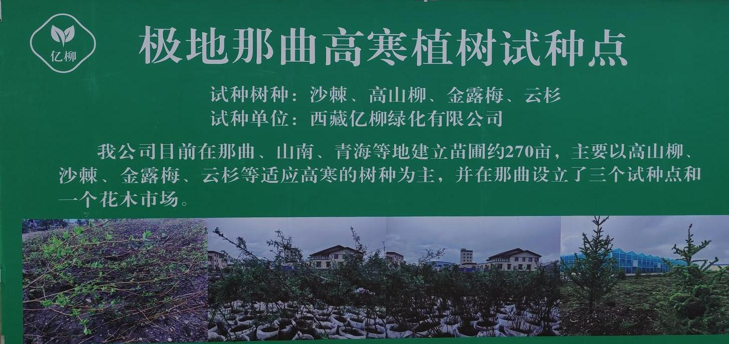 20e3e425e5354e63392618d08e9efc6