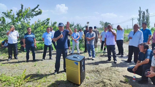 新疆农业大学农学院院长,新疆林果病虫害防治专家、轮台白杏产业科技专家服务团成员阿迪力·萨塔尔在野云沟乡组织农民开展杏园夏季管理和病虫害防治现场培训.jpg