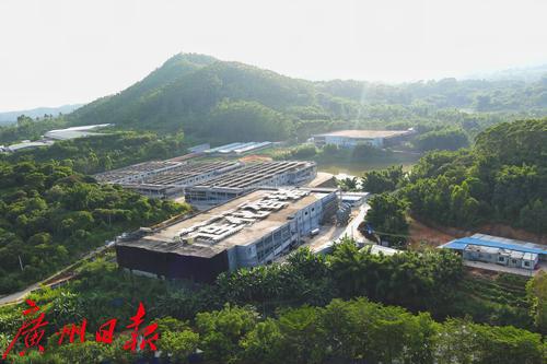 供港澳活猪养殖场