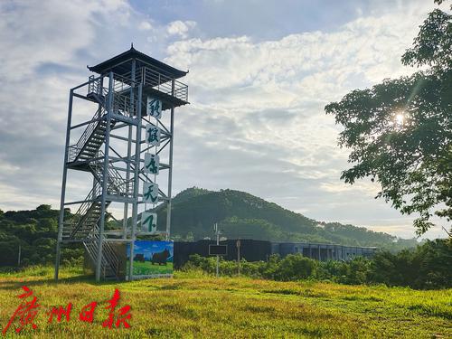 写着“猪粮安天下”的瞭望塔