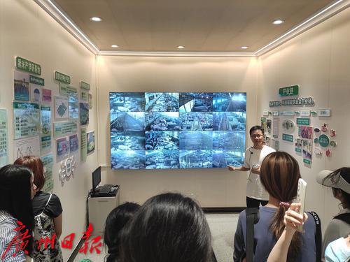 供港澳活猪养殖场监控介绍