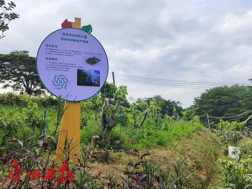 荔枝科技种业产业园