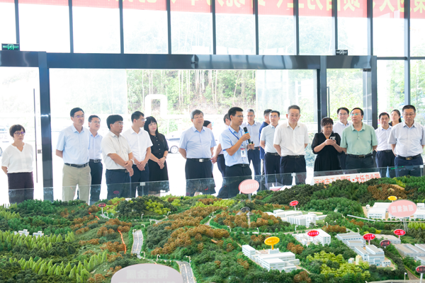 调研组在河池市大任工业园区调研.png