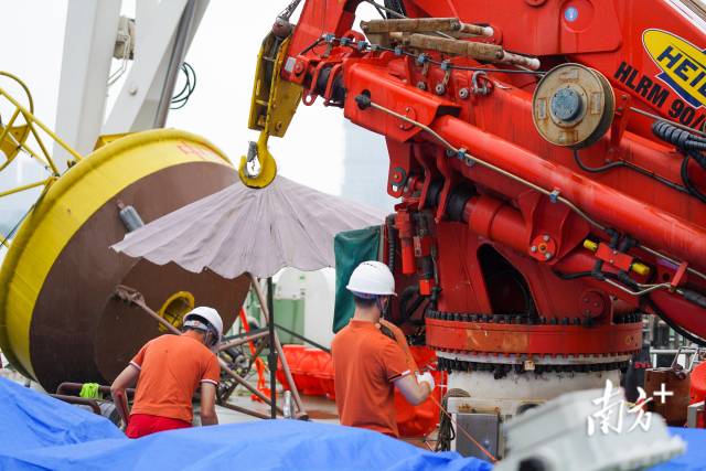    南方+ 许舒智 拍摄