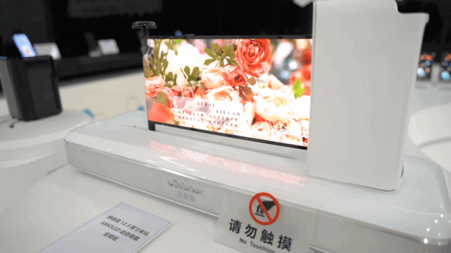 柔性AMOLED动态卷曲全木模组