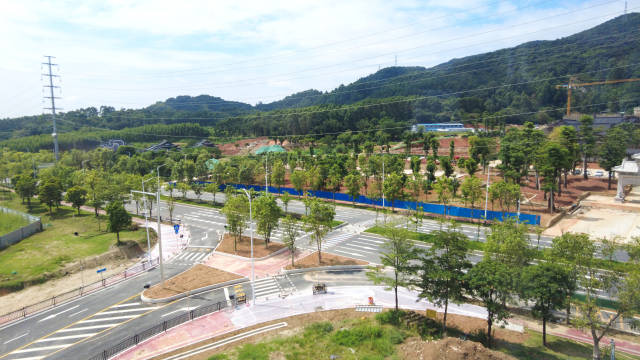 越海集成旁的公路 