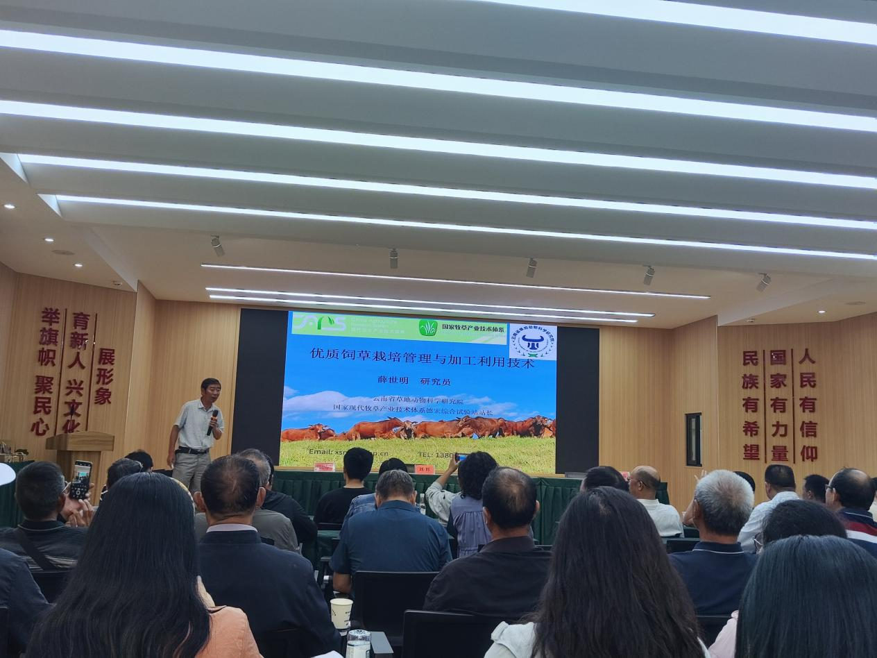 优质饲草培训现场图.png