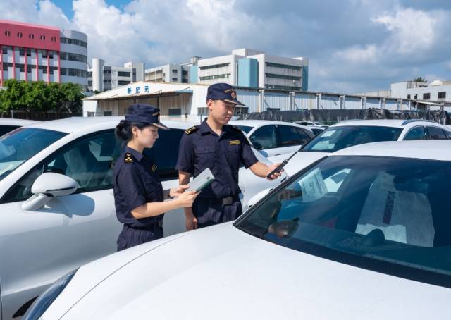 穗东海关关员对“一单多车”入区车辆进行查验。 何映虹摄