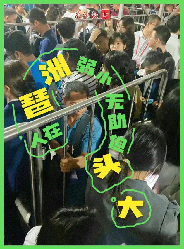 图片素材来源：网友“新广州人老罗和2只老猫”