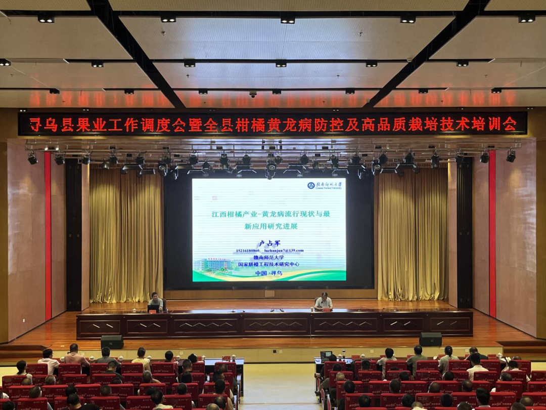 7 月 13 日上午专家组教授作柑橘黄龙病防控及高品质栽培技术培训.png