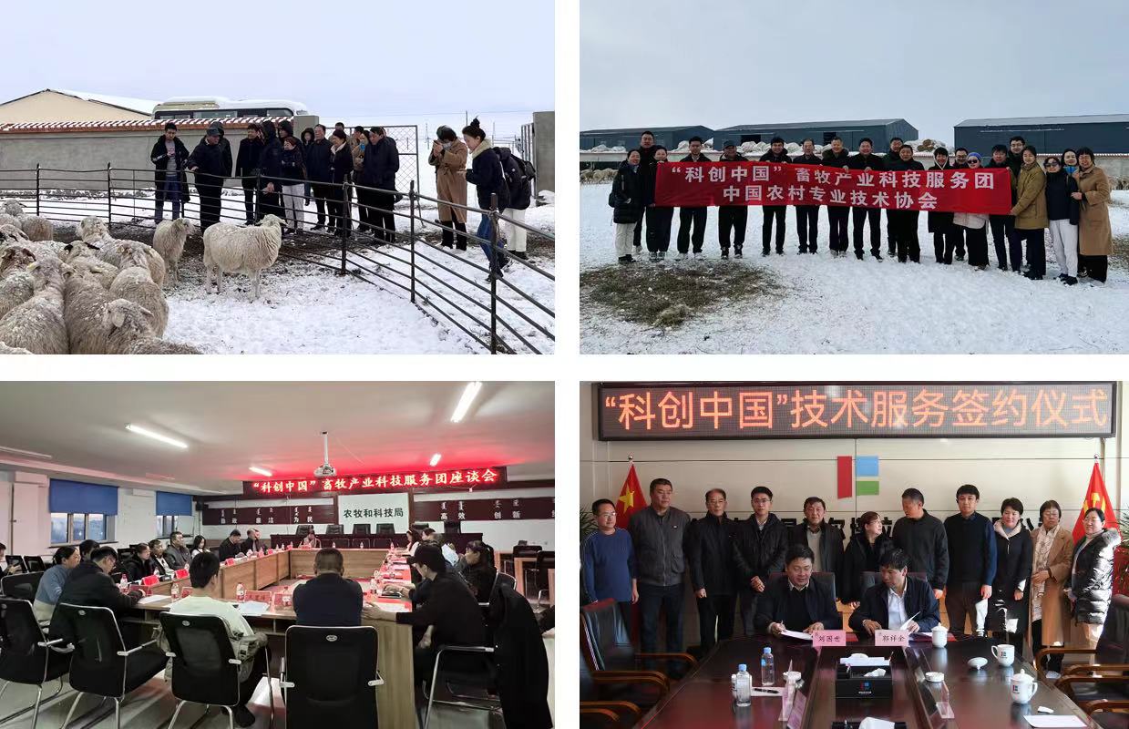 Weixin Image_20231128112635.jpg