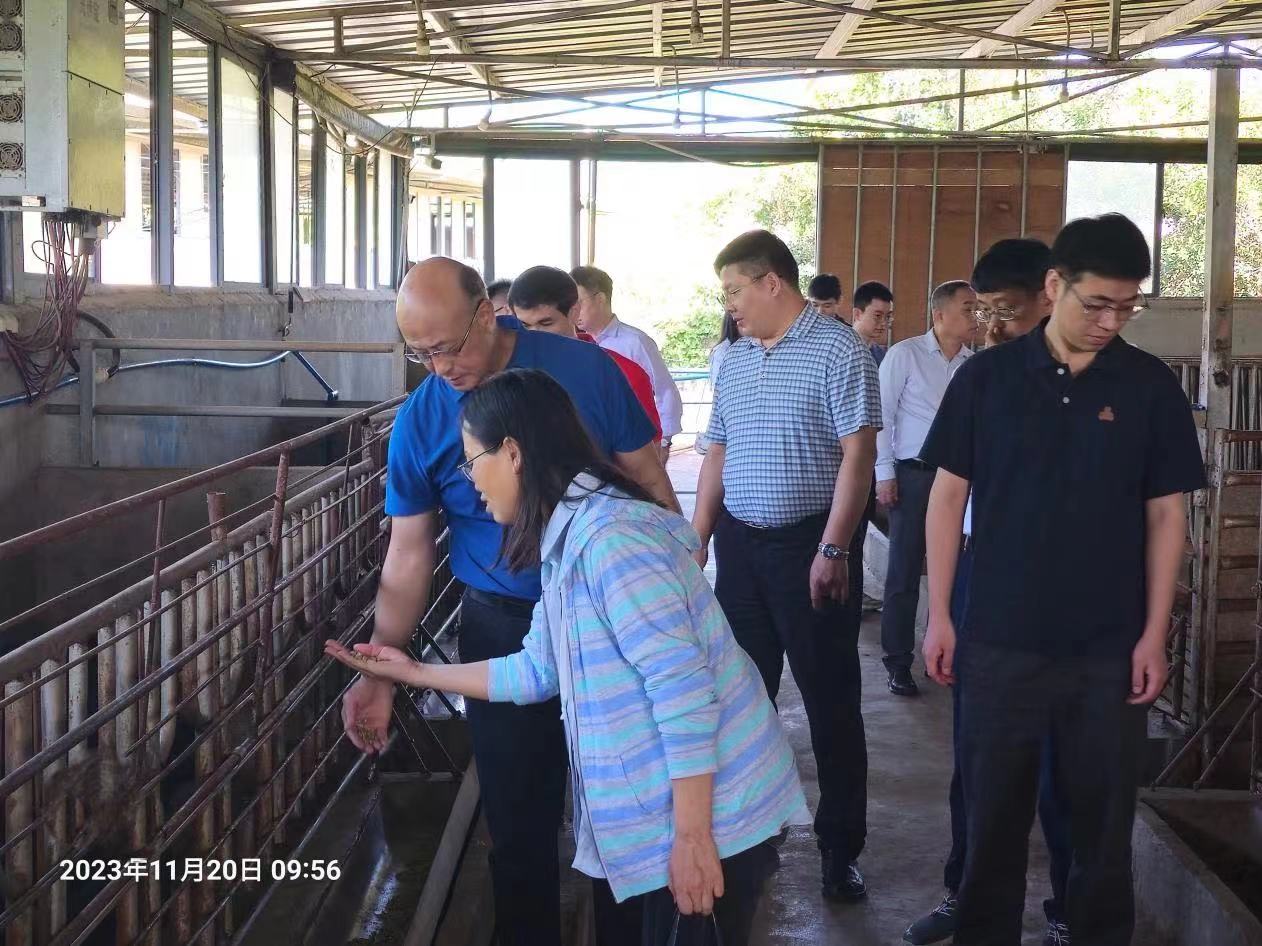 Weixin Image_20231128112340.jpg