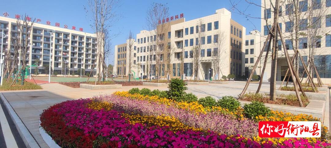 营商环境好 赢得“万商”来4.jpg