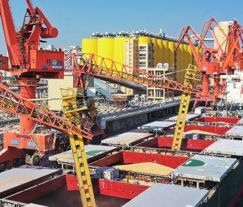 广州港南沙粮食通用码头。