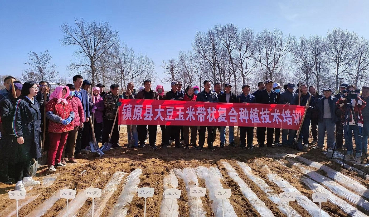 玉米大豆种植技术培训.jpg