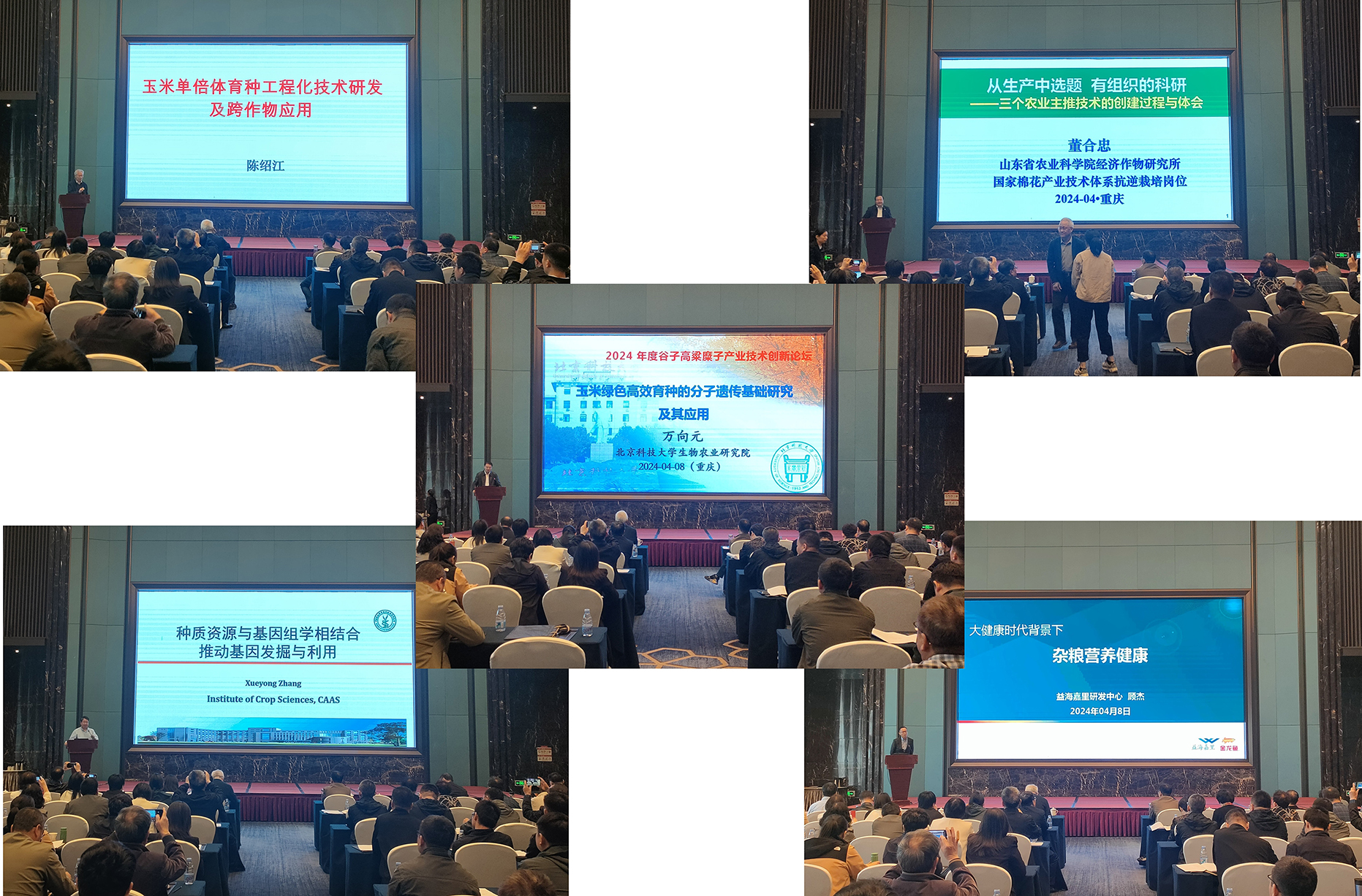 3大会报告-上传.jpg