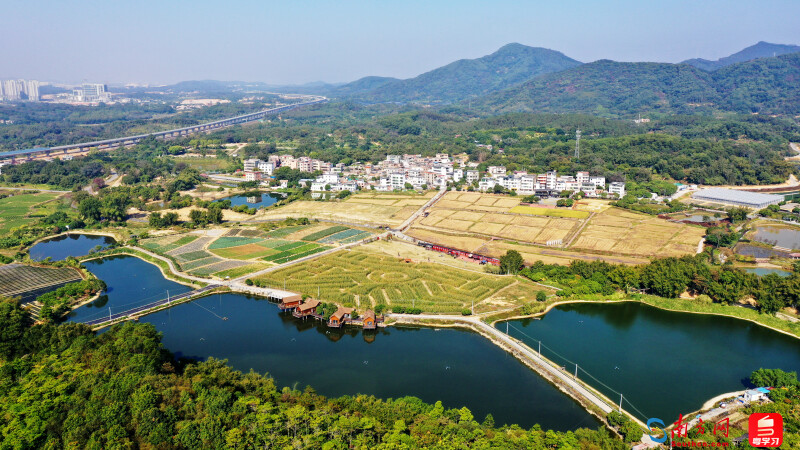 迳下村航拍。李剑锋 摄