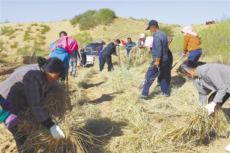 吴忠市与内蒙古鄂尔多斯市、甘肃省庆阳市、陕西省榆林市四省（区）四市共建四大“防风阻沙带”.jpg