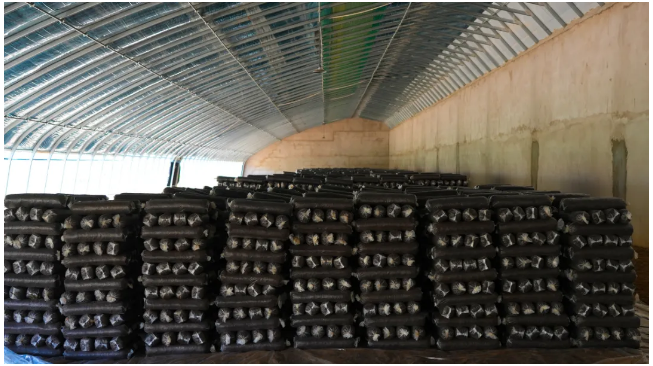 截图-2024年8月14日 10时24分27秒.png