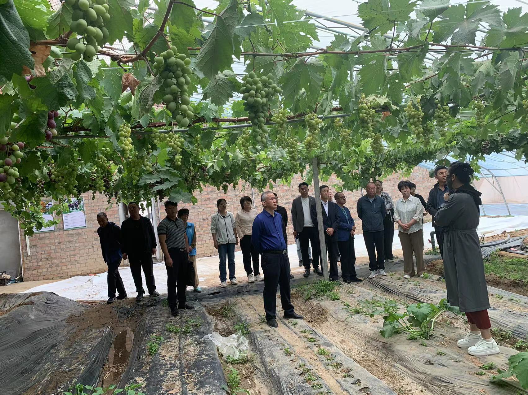 5月29日，区科技局以“弘扬科学家精神 勇当高水平科技自立自强排头兵”为主题，组织20余名优秀科技工作者深入吴忠市仪表有限公司、利通区高闸镇农业产业示范园区、灵武市园艺场设施基地、全国科学家精神教育基地-宁夏沙漠绿化与沙产业发展基金会等地，开展全国科技工作者日观摩学习活动4.jpg