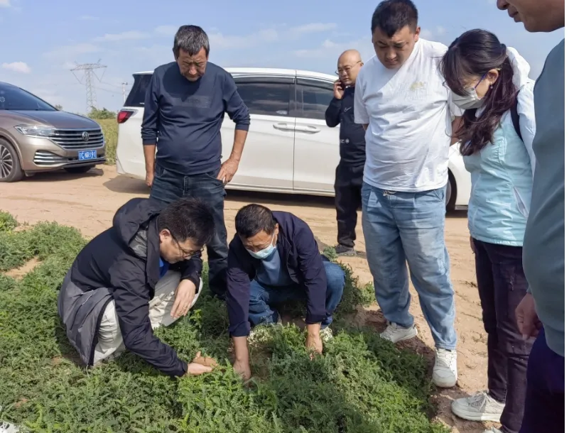 盐池县：借“外力” 聚“内力” 激发科技人才创新活力1.jpg