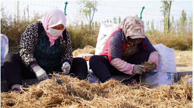 截图-2024年10月18日 15时24分31秒.png