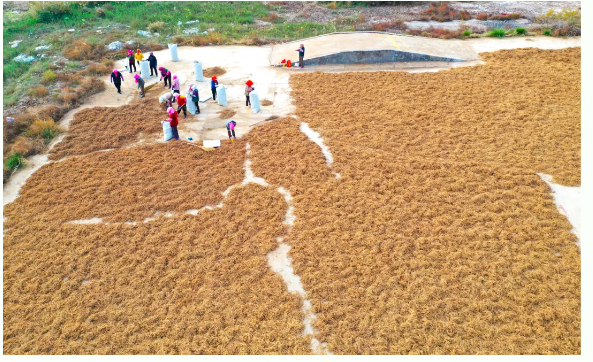 截图-2024年10月18日 15时24分41秒.png