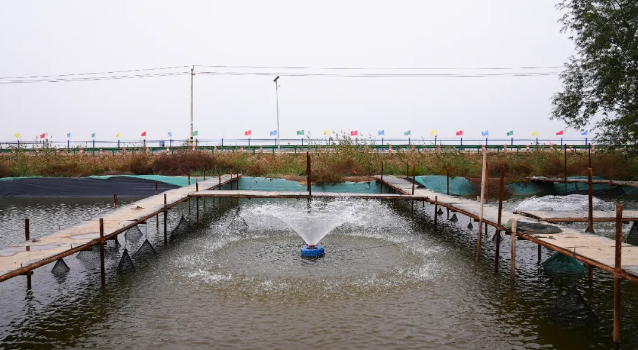 截图-2024年10月22日 10时6分4秒.png