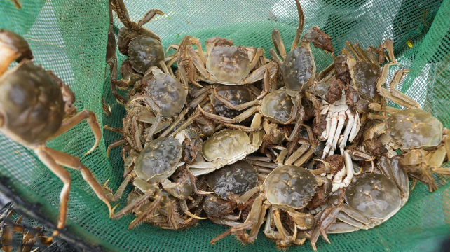 截图-2024年10月22日 10时6分33秒.png