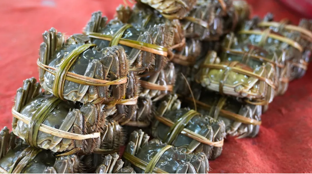 截图-2024年10月22日 10时6分18秒.png