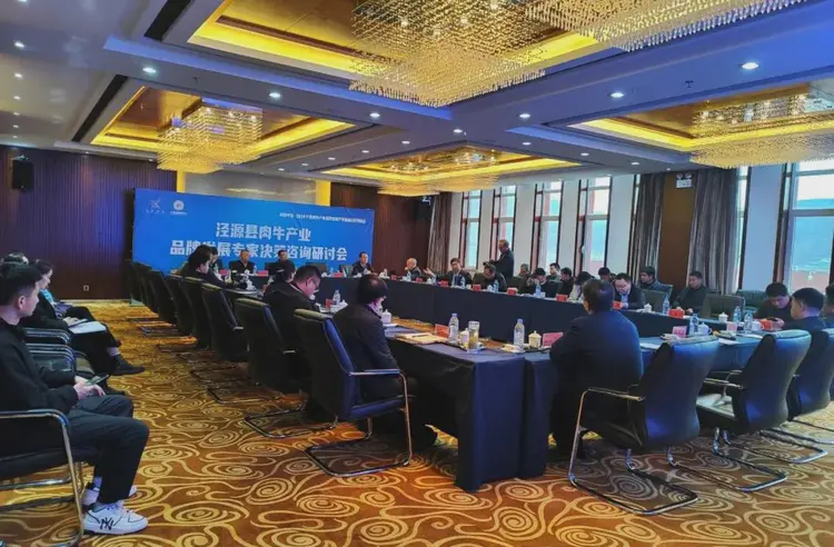 泾源县肉牛产业品牌发展专家决策咨询研讨会.jpg