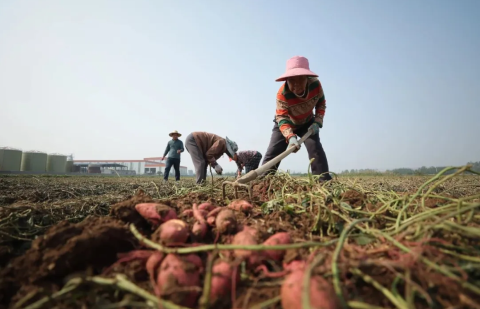 屏幕截图 2024-12-17 111536.png