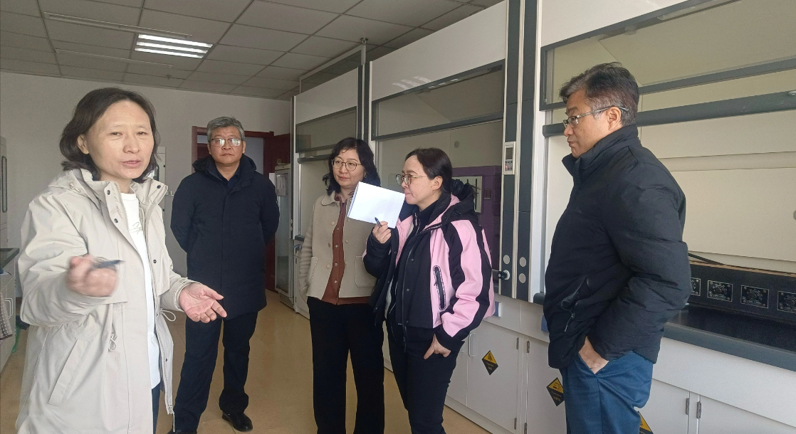 屏幕截图 2024-12-24 194658.png