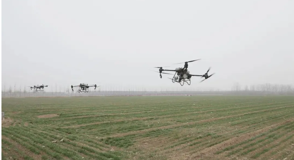 屏幕截图 2024-12-24 195216.png