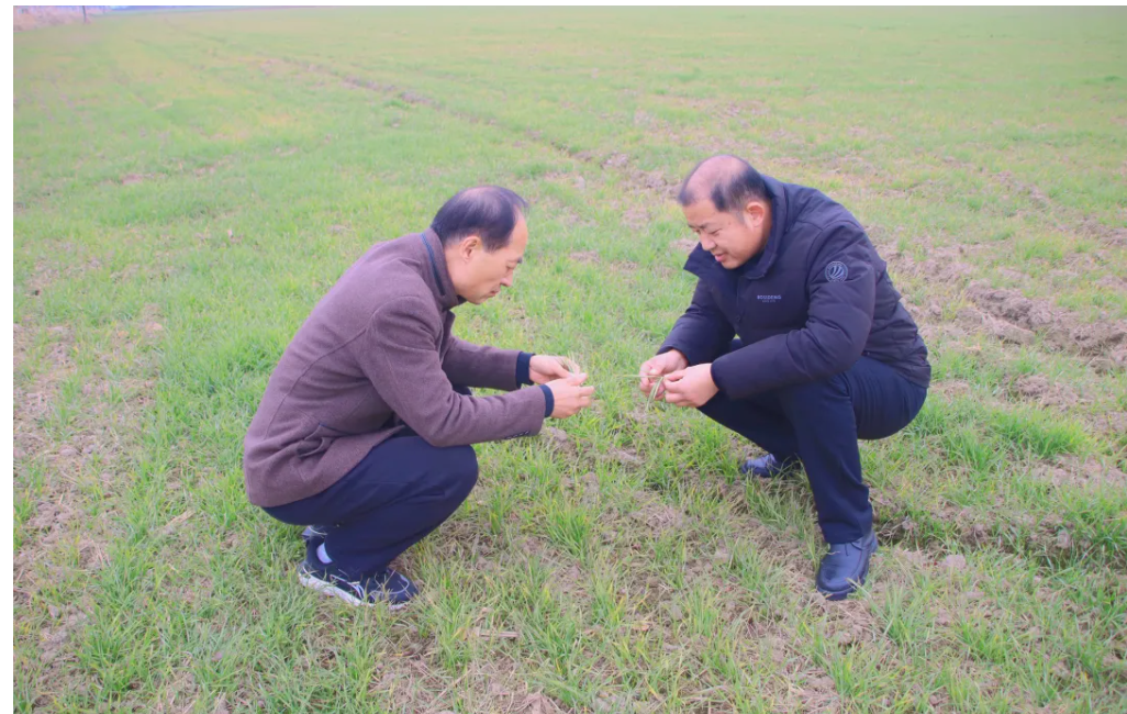 屏幕截图 2024-12-24 195207.png